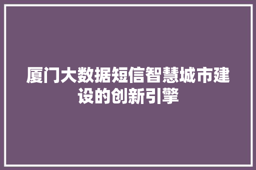 厦门大数据短信智慧城市建设的创新引擎