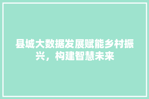 县城大数据发展赋能乡村振兴，构建智慧未来