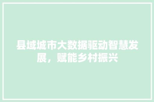 县域城市大数据驱动智慧发展，赋能乡村振兴