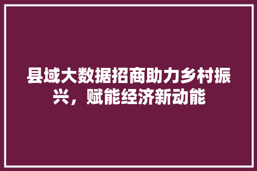 县域大数据招商助力乡村振兴，赋能经济新动能