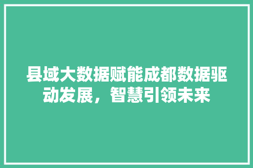 县域大数据赋能成都数据驱动发展，智慧引领未来