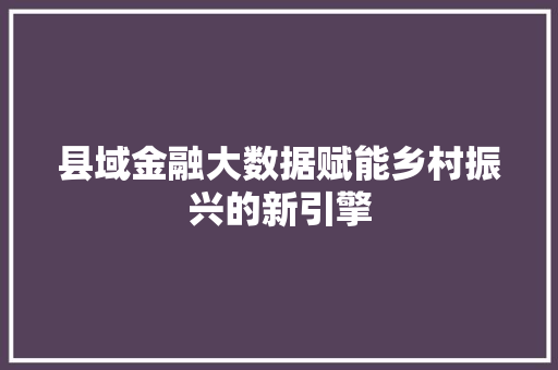 县域金融大数据赋能乡村振兴的新引擎 SEO教程
