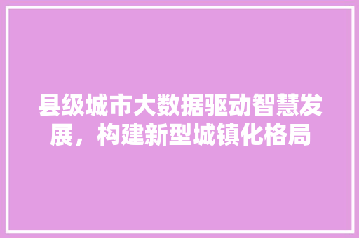 县级城市大数据驱动智慧发展，构建新型城镇化格局