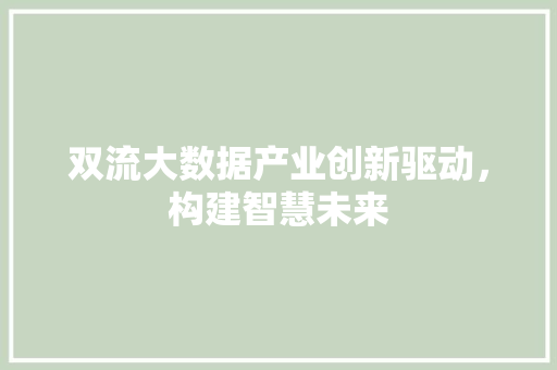 双流大数据产业创新驱动，构建智慧未来