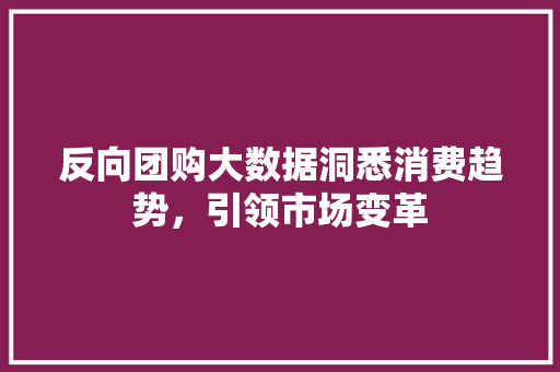 反向团购大数据洞悉消费趋势，引领市场变革