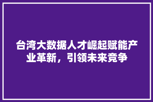 台湾大数据人才崛起赋能产业革新，引领未来竞争