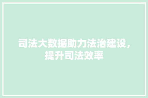司法大数据助力法治建设，提升司法效率