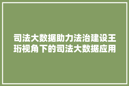 司法大数据助力法治建设王珩视角下的司法大数据应用与创新