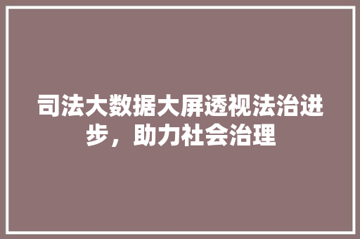 司法大数据大屏透视法治进步，助力社会治理