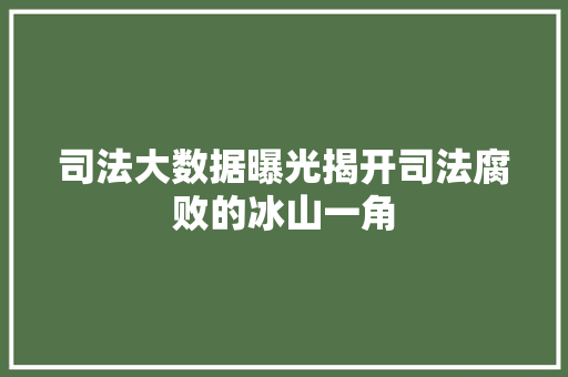 司法大数据曝光揭开司法腐败的冰山一角