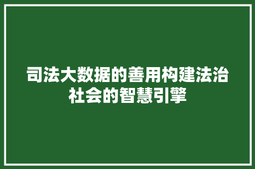 司法大数据的善用构建法治社会的智慧引擎 友链在线