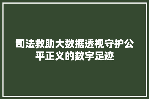 司法救助大数据透视守护公平正义的数字足迹