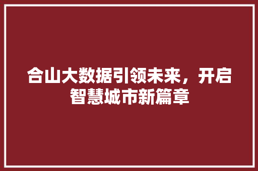 合山大数据引领未来，开启智慧城市新篇章