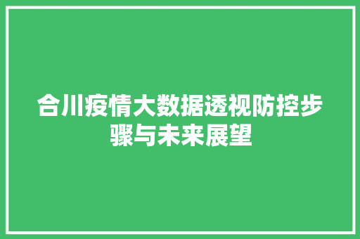 合川疫情大数据透视防控步骤与未来展望 建站教程 合川疫情大数据透视防控步骤与未来展望 建站教程