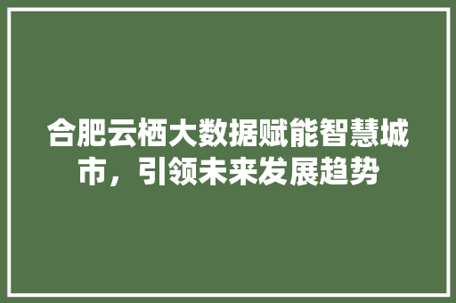 合肥云栖大数据赋能智慧城市，引领未来发展趋势