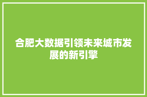 合肥大数据引领未来城市发展的新引擎