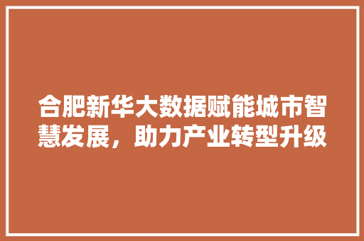 合肥新华大数据赋能城市智慧发展，助力产业转型升级