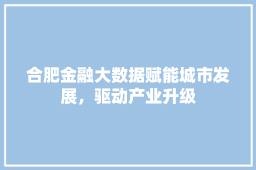 合肥金融大数据赋能城市发展，驱动产业升级