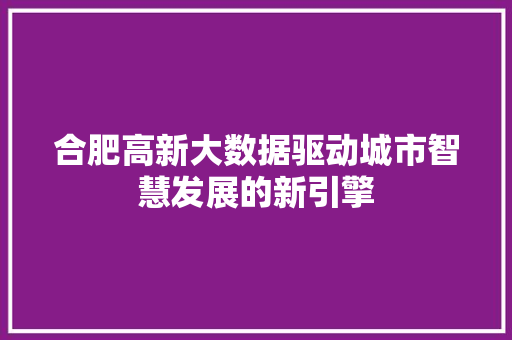 合肥高新大数据驱动城市智慧发展的新引擎