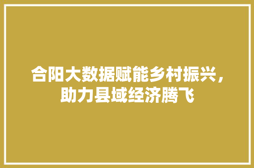 合阳大数据赋能乡村振兴，助力县域经济腾飞