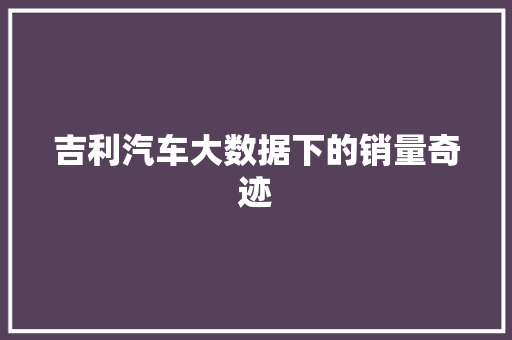 吉利汽车大数据下的销量奇迹