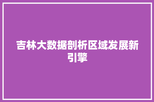 吉林大数据剖析区域发展新引擎 SEO教程