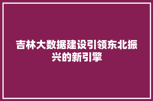 吉林大数据建设引领东北振兴的新引擎 建站教程