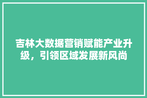 吉林大数据营销赋能产业升级，引领区域发展新风尚 SEO教程