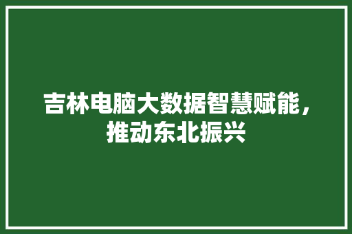 吉林电脑大数据智慧赋能，推动东北振兴 Web前端