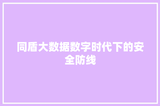 同盾大数据数字时代下的安全防线