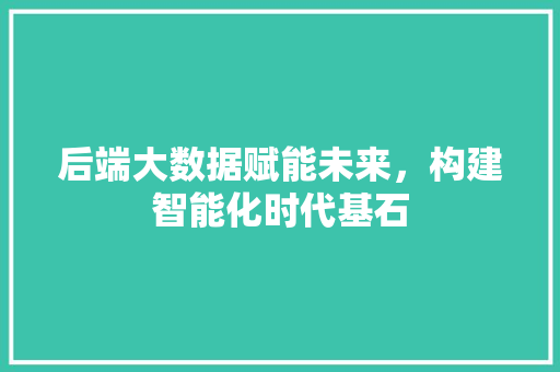 后端大数据赋能未来，构建智能化时代基石