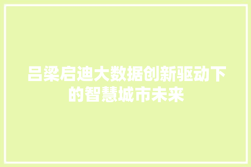 吕梁启迪大数据创新驱动下的智慧城市未来