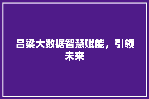 吕梁大数据智慧赋能，引领未来