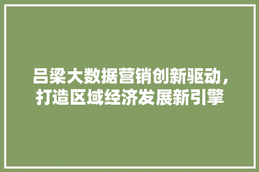 吕梁大数据营销创新驱动，打造区域经济发展新引擎