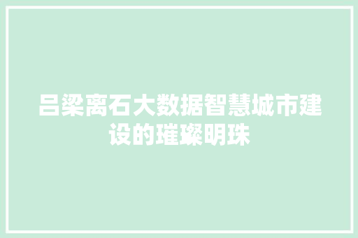 吕梁离石大数据智慧城市建设的璀璨明珠