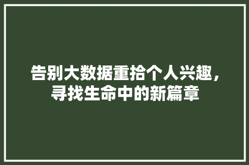 告别大数据重拾个人兴趣，寻找生命中的新篇章