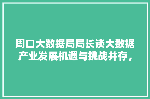 周口大数据局局长谈大数据产业发展机遇与挑战并存，共创未来