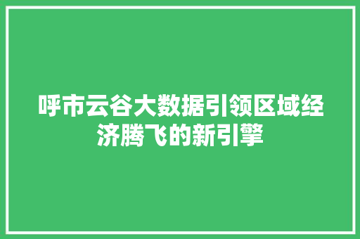 呼市云谷大数据引领区域经济腾飞的新引擎 呼市云谷大数据引领区域经济腾飞的新引擎