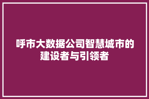 呼市大数据公司智慧城市的建设者与引领者