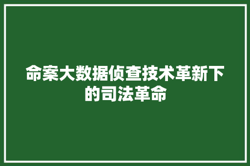 命案大数据侦查技术革新下的司法革命