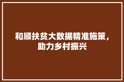 和顺扶贫大数据精准施策，助力乡村振兴