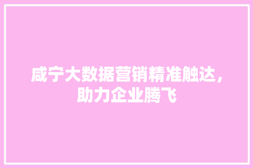 咸宁大数据营销精准触达，助力企业腾飞