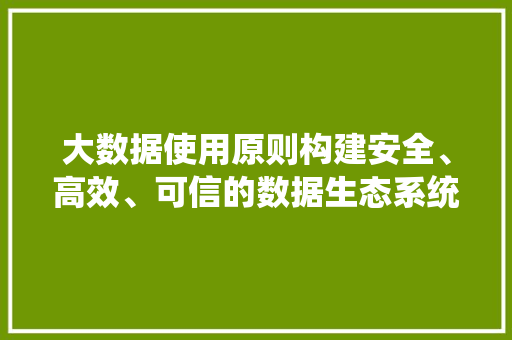 大数据使用原则构建安全、高效、可信的数据生态系统