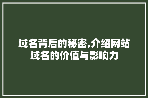 域名背后的秘密,介绍网站域名的价值与影响力