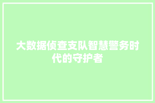 大数据侦查支队智慧警务时代的守护者