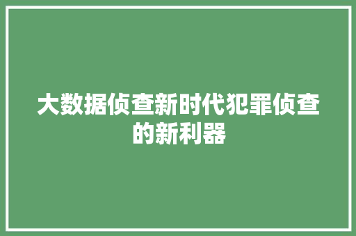 大数据侦查新时代犯罪侦查的新利器