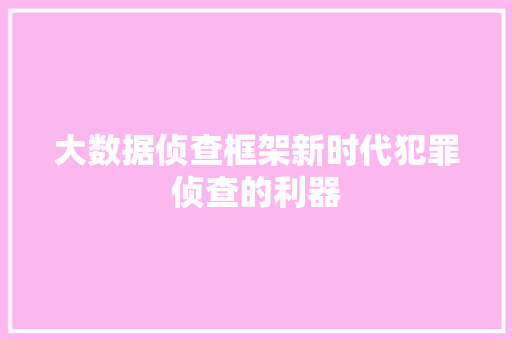 大数据侦查框架新时代犯罪侦查的利器