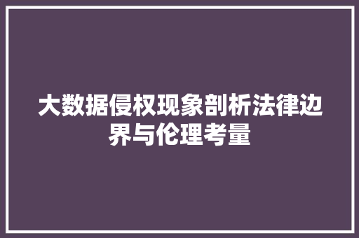 大数据侵权现象剖析法律边界与伦理考量