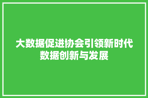 大数据促进协会引领新时代数据创新与发展