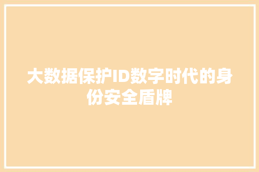 大数据保护ID数字时代的身份安全盾牌